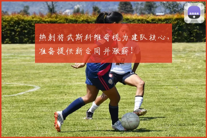 热刺将武斯科维奇视为建队核心，准备提供新合同并涨薪！